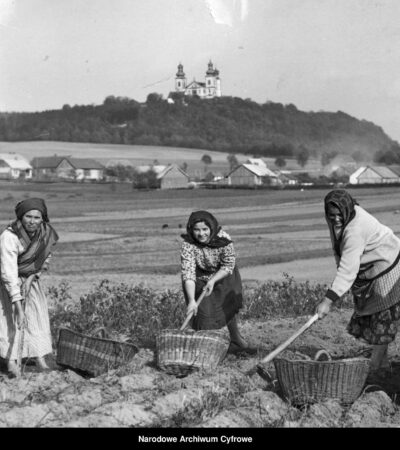 Czarno-biała fotografia. Trzy kobiety wykopują ziemniaki. W tle klasztor.